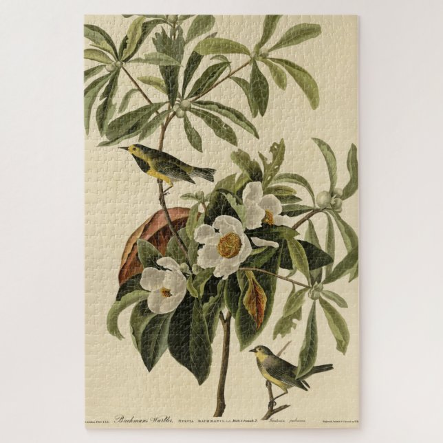 Quebra-cabeça Bachman's Warbler, das Aves da América de Audubon (Vertical)