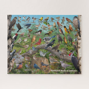 Quebra-cabeça Backyard Birds of Indiana Puzzle