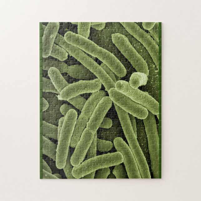 Quebra-cabeça bacterias e. coli microscópio (Vertical)