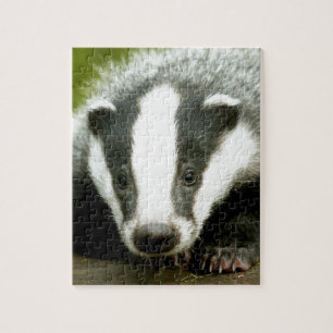Quebra-cabeça Badger - Foto pro impressionante!