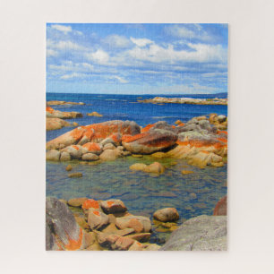 Quebra-cabeça baía da tasmânia dos incêndios