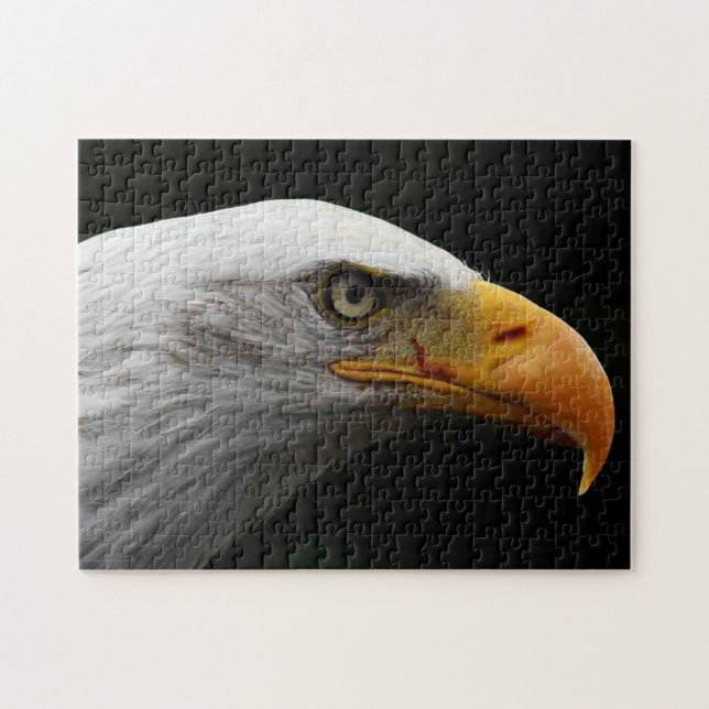 Quebra-cabeça Bald Eagle 11x14 252pc jpa (Horizontal)