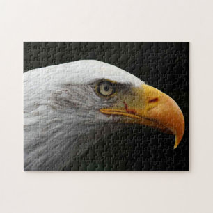 Quebra-cabeça Bald Eagle 11x14 252pc jpcna