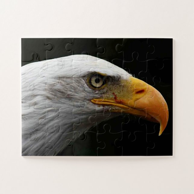 Quebra-cabeça Bald Eagle 11x14 30pc jpm (Horizontal)