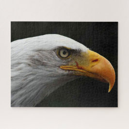 Quebra-cabeça Bald Eagle 16x20 520pc jpcna