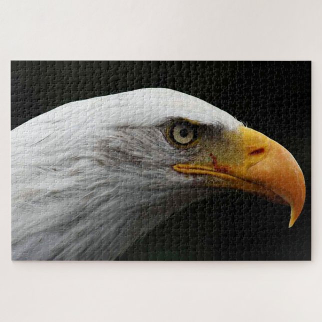 Quebra-cabeça Bald Eagle 20x30 1014pc jpcn (Horizontal)