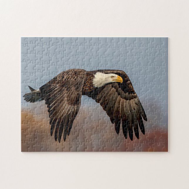 Quebra-cabeça Bald Eagle em voo (Horizontal)