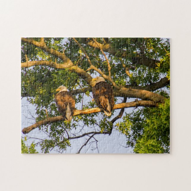 Quebra-cabeça Bald Eagle Pair  (Horizontal)