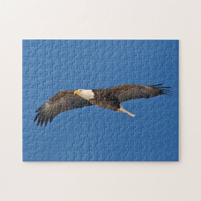 Quebra-cabeça Bald Eagle Sky High (Horizontal)