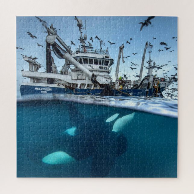 Quebra-cabeça Baleia Assassina Orca Barco de Pesca Comercial Oce (Vertical)