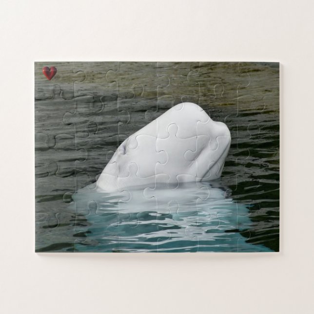 Quebra-cabeça Baleia Beluga Alasca (Horizontal)