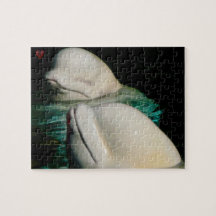 Baleia Beluga Alasca