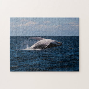 Quebra-cabeça Baleia de Humpback que rompe o Oceano Pacífico