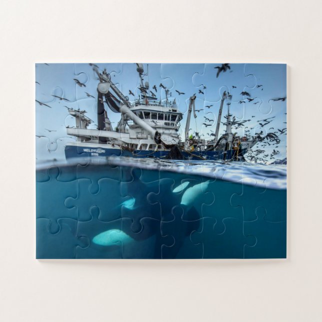 Quebra-cabeça Baleia Orca Barco de Pesca Comercial Oceano (Horizontal)