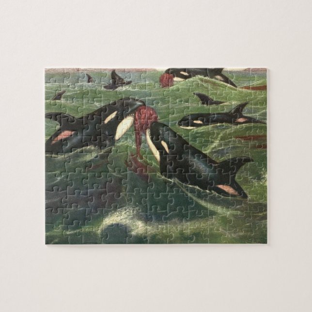 Quebra-cabeça Baleias-Assassinas ou Orcas, Mamíferos Marinhos (Horizontal)