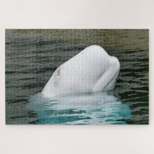 Quebra-cabeça Baleias Beluga