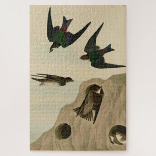 Quebra-cabeça Banco, Engordas Violetas-Verdes, Aves de Audubon A