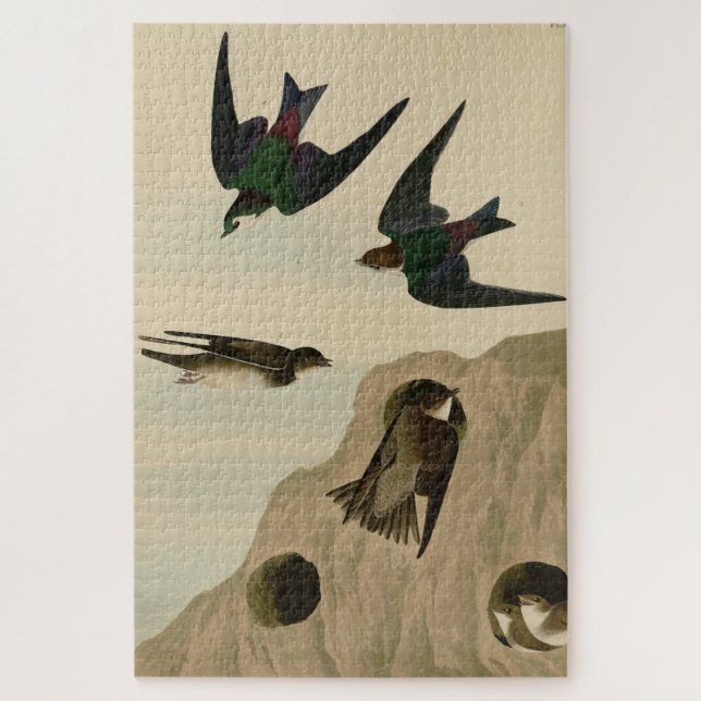 Quebra-cabeça Banco, Engordas Violetas-Verdes, Aves de Audubon A (Vertical)