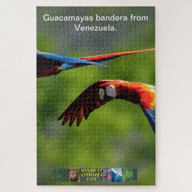 Quebra-cabeça Bandera Guacamayas da Venezuela. (Vertical)