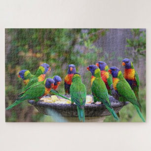 Quebra-cabeça Bando Colorido de Aves Loirkeet Arco-Íris