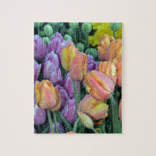 Quebra-cabeça Bando de tulipas coloridas