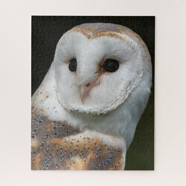 Quebra-cabeça Barn Owl Retrait (Vertical)