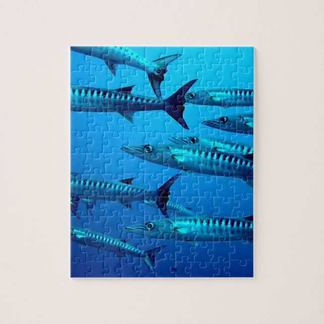 Quebra-cabeça barracuda mergulho mar profundo água oceano tropic (Vertical)
