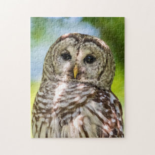 Quebra-cabeça Barred Owl