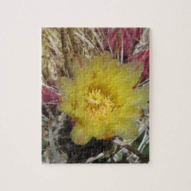 Quebra-cabeça Barrel Cactus Fishhook Amarelo (Vertical)