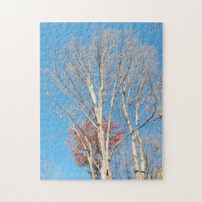 Quebra-cabeça Barren Trees (Vertical)