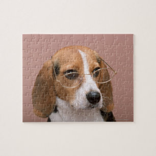 Quebra-cabeça Beagle