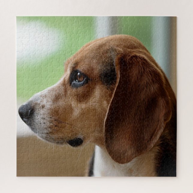Quebra-cabeça Beagle Sonhador (Vertical)
