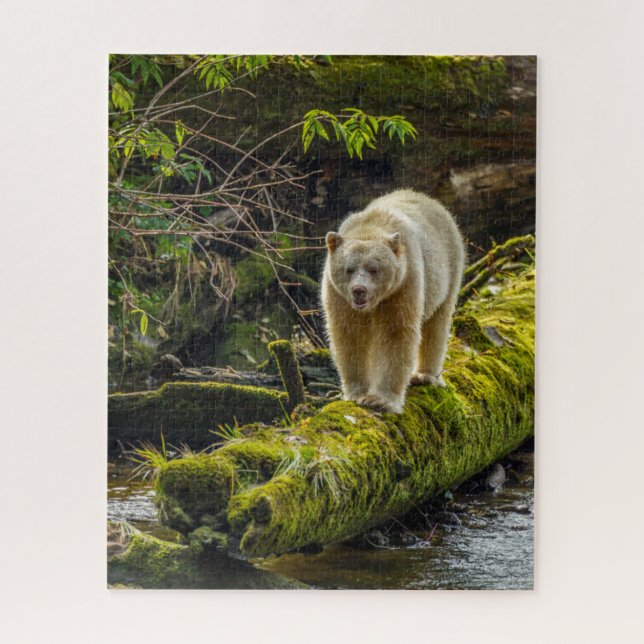 Quebra-cabeça Bear Espírito Branco | Colúmbia Britânica, Canadá (Vertical)