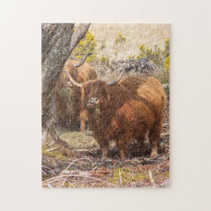 Quebra-cabeça Beautiful Highland cows