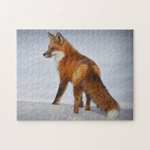 Quebra-cabeça Beautiful Red Fox in Snow