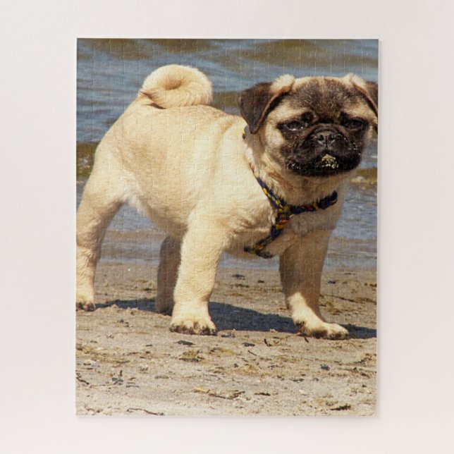 Quebra-cabeça bebê cachorrinho  (Vertical)