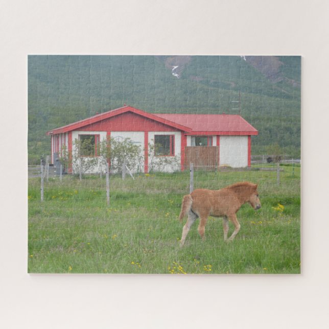 Quebra-cabeça Bebê Cavalo Islandês na Fazenda (Horizontal)