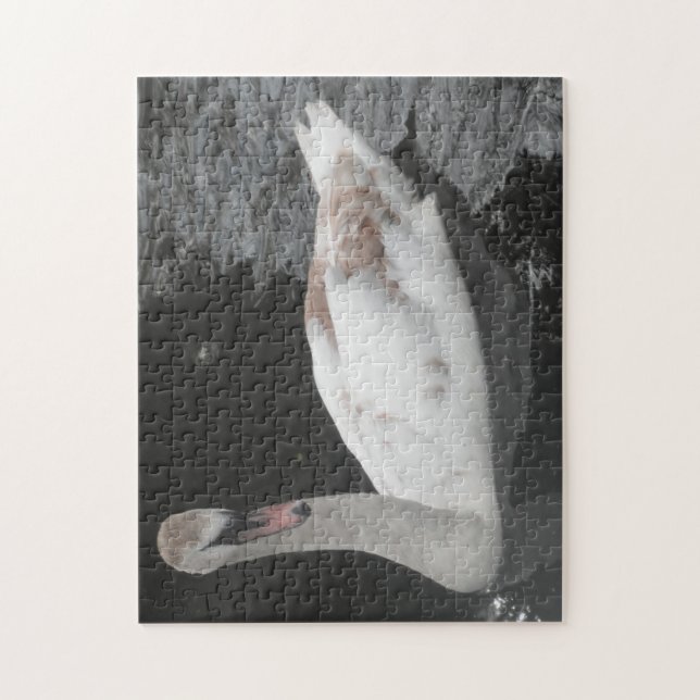 Quebra-cabeça Bebê Cisne Nado Puzzle (Vertical)