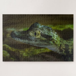 Quebra-cabeça Bebê Crocodilo Nadando na Água