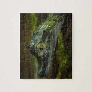 Quebra-cabeça Bebê Crocodilo Nadando na Água