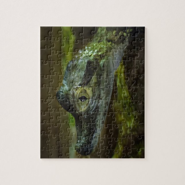 Quebra-cabeça Bebê Crocodilo Nadando na Água (Vertical)