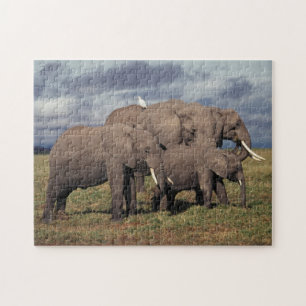 Quebra-cabeça Bebê Elefante Africano com família