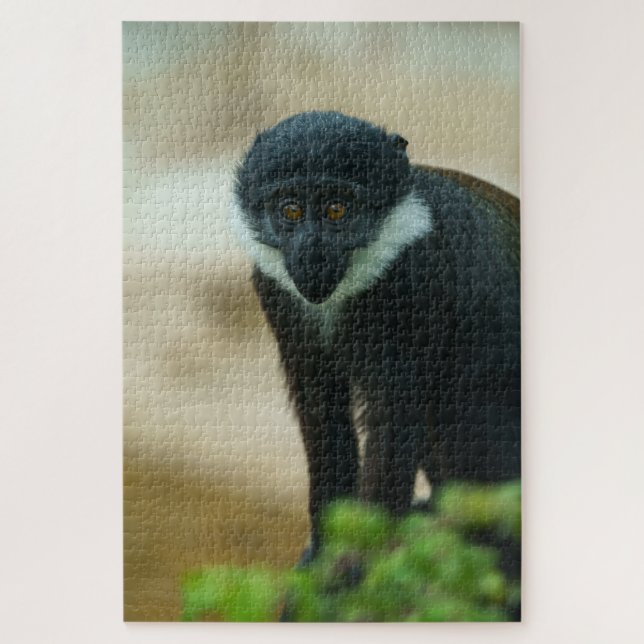 Quebra-cabeça Bebê L’Hoest Macaco (Vertical)