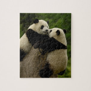 Quebra-cabeça Bebês de panda gigante (Ailuropoda melanoleuca)