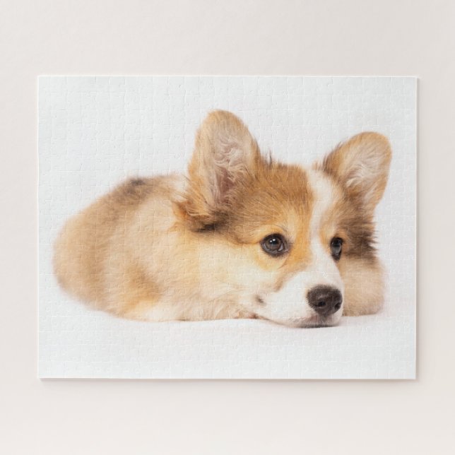 Quebra-cabeça Bebês Mais Pobres | Baby Corgi Puppy Portraje (Horizontal)