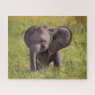 Quebra-cabeça Bebês Mais Pobres Baby Elephant Kenya Africa