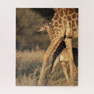 Quebra-cabeça Bebês Mais Pobres Baby Giraffe & Parent