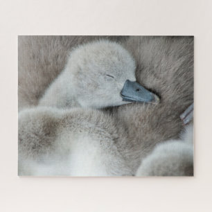 Quebra-cabeça Bebês Mais Pobres Bebê-Mute Swan