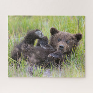 Quebra-cabeça Bebês Mais Pobres Bebê-Urso-Castanho