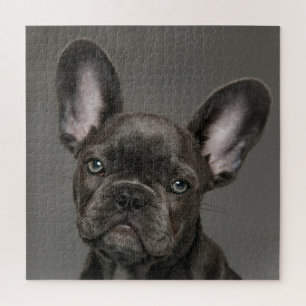 Quebra-cabeça Bebês Mais Pobres   Buldogue francês